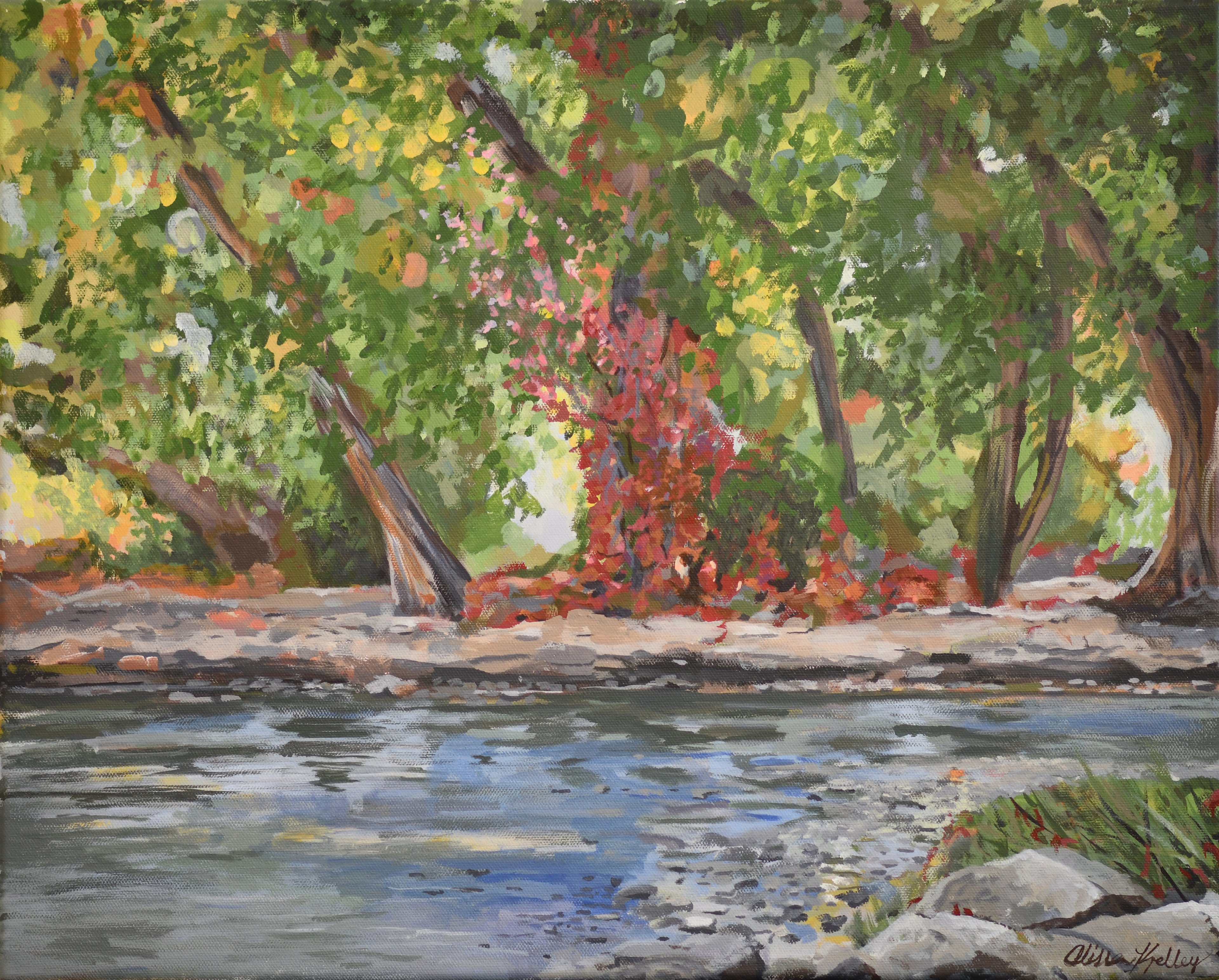 Southside River Reflections